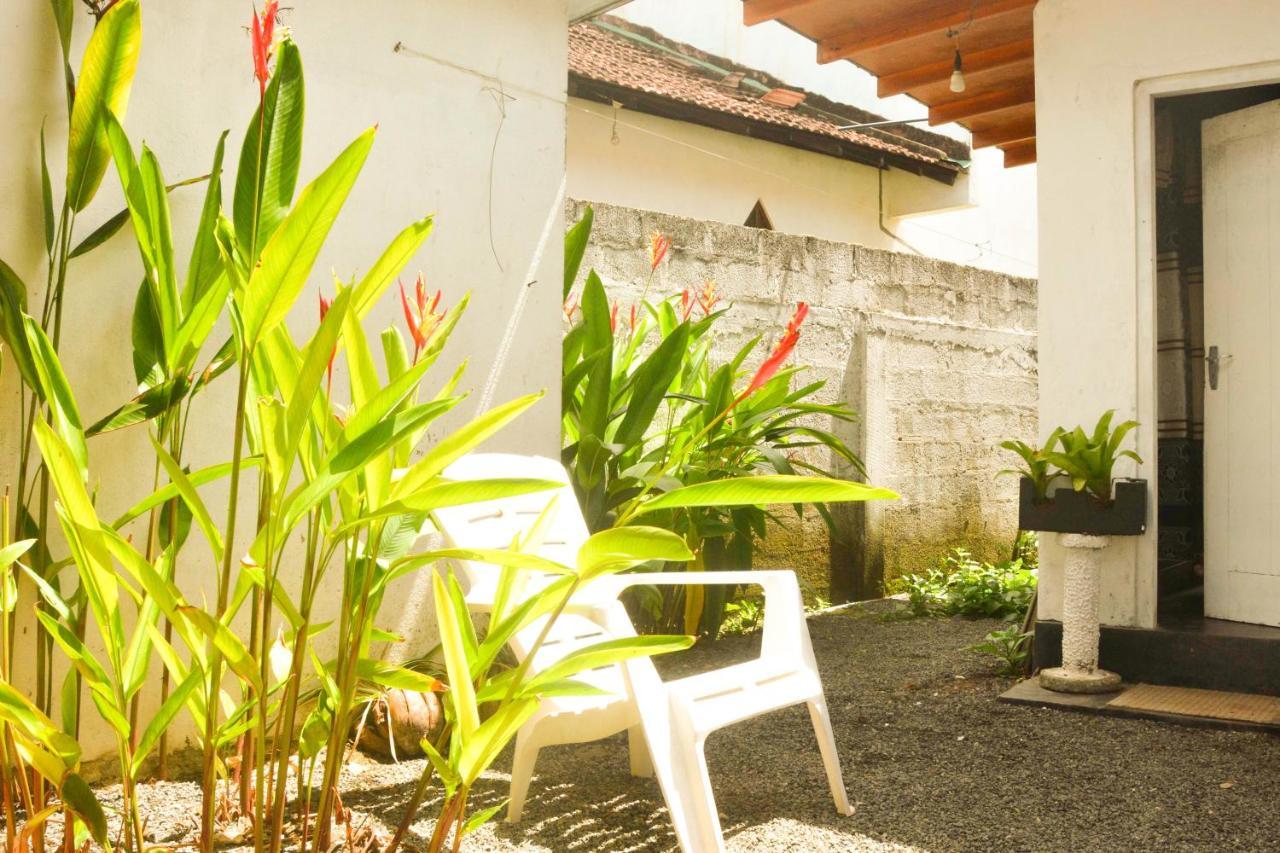 The Breeze Mirissa Bed and Breakfast Εξωτερικό φωτογραφία